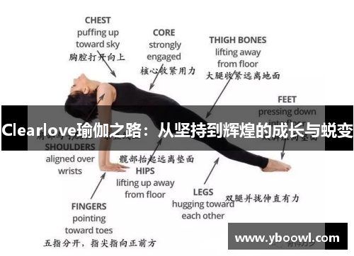 Clearlove瑜伽之路：从坚持到辉煌的成长与蜕变