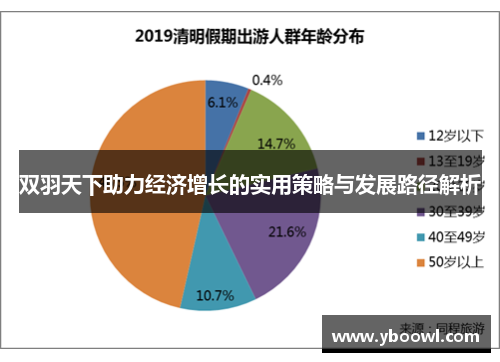 双羽天下助力经济增长的实用策略与发展路径解析