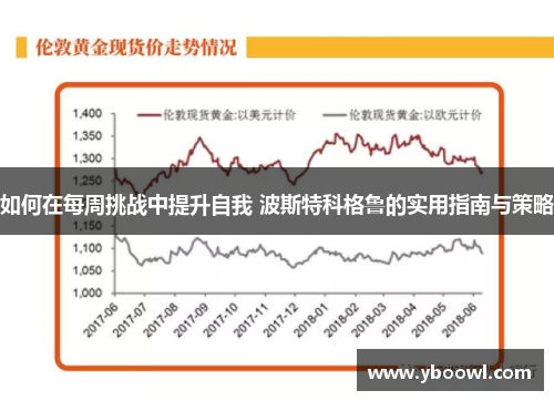 如何在每周挑战中提升自我 波斯特科格鲁的实用指南与策略