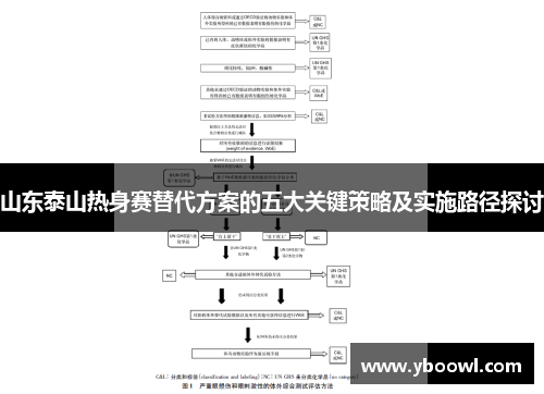 山东泰山热身赛替代方案的五大关键策略及实施路径探讨